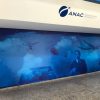 ANAC divulga formulário para cadastro de brasileiros no exterior