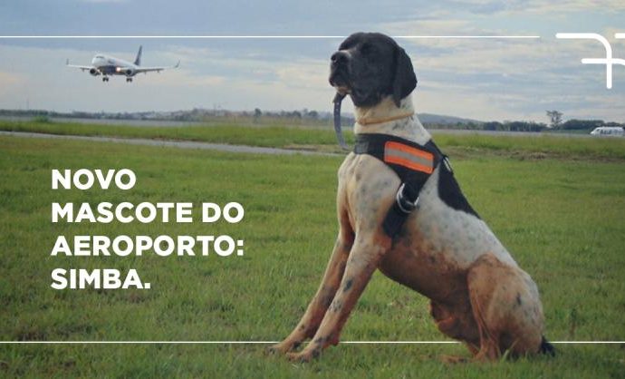 BH Airport inova na segurança operacional/ambiental