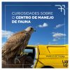 BH Airport e o manejo da fauna no entorno do aeródromo