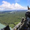 Dia do Aviador e da Força Aérea Brasileira